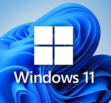 Picture of Microsoft Windows 11 Pro